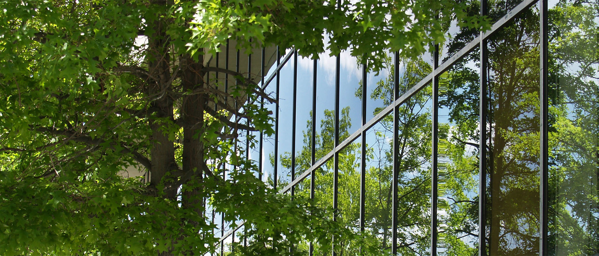 Dynamic glass on an office building.