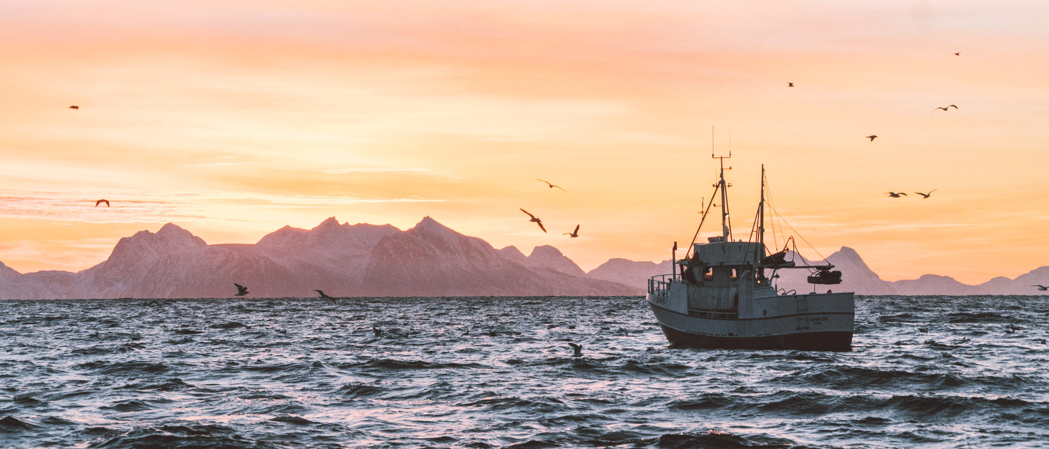 fishing boat